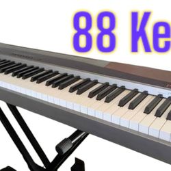 Casio Privia PX100 (Full concert sound digital piano)