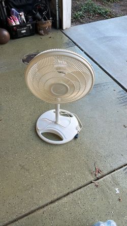 Fan