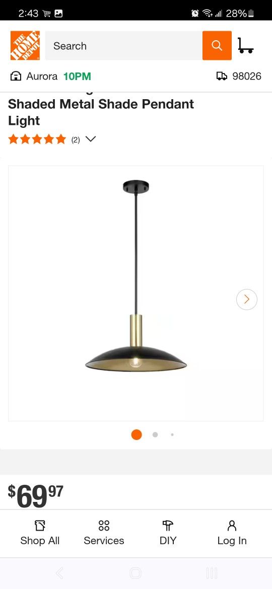 Luminosa 19 In Pendant Light