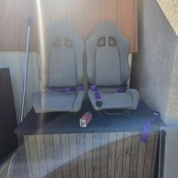 Bucket Seats And Seat Belts