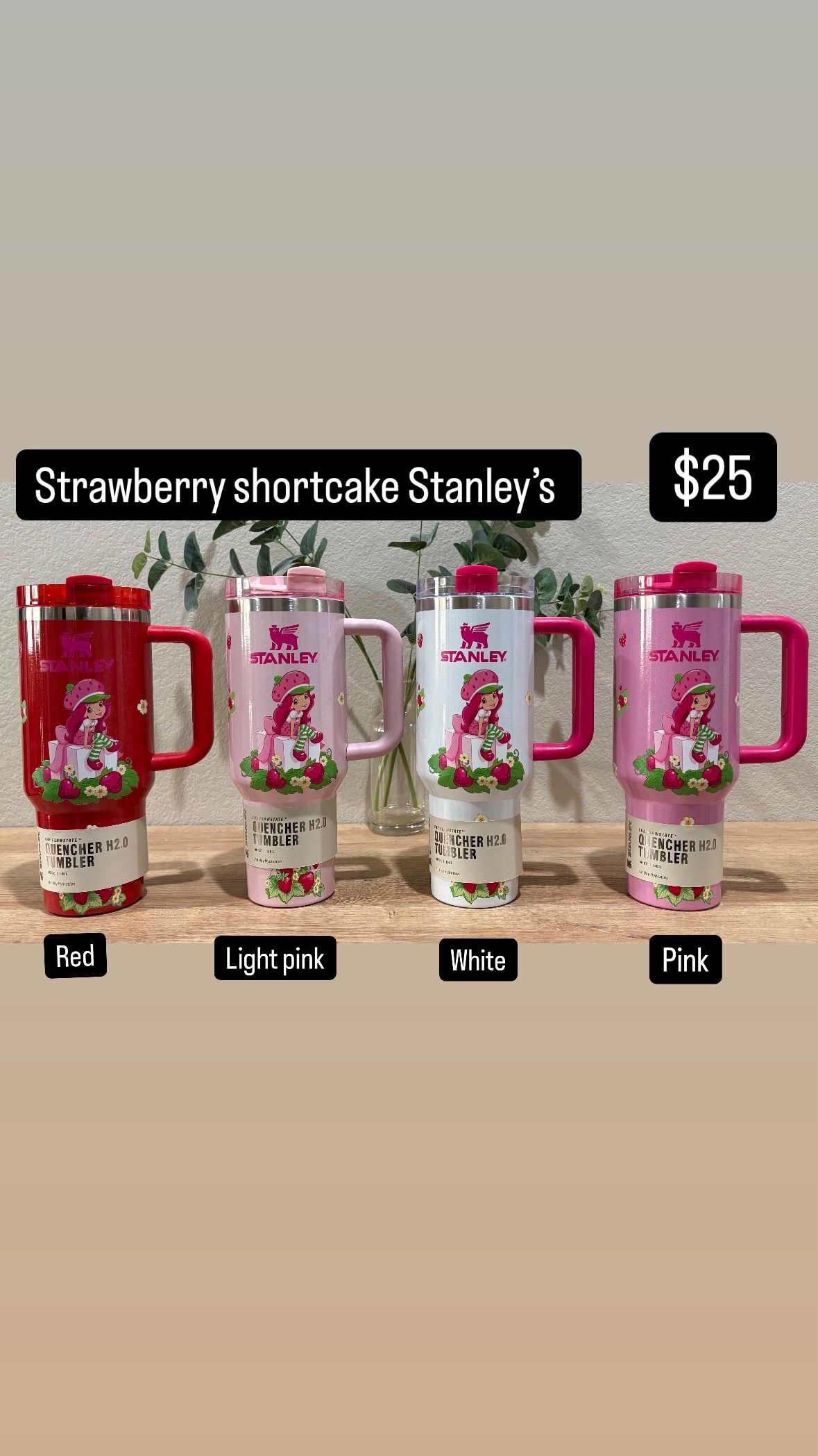 Strawberry Shortcake Stanley
