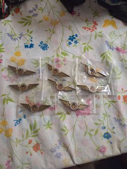 Delta Airlines Junior Plastic Wings Pin