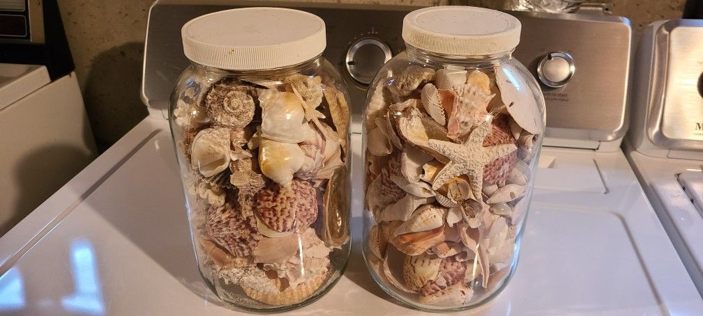 2 Gal. Jars of Mixed Shells