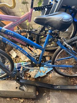 Eddie Bauer Bike