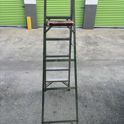 6ft ladder