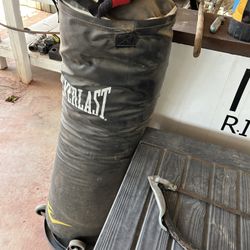 Everlast Punching Bag 