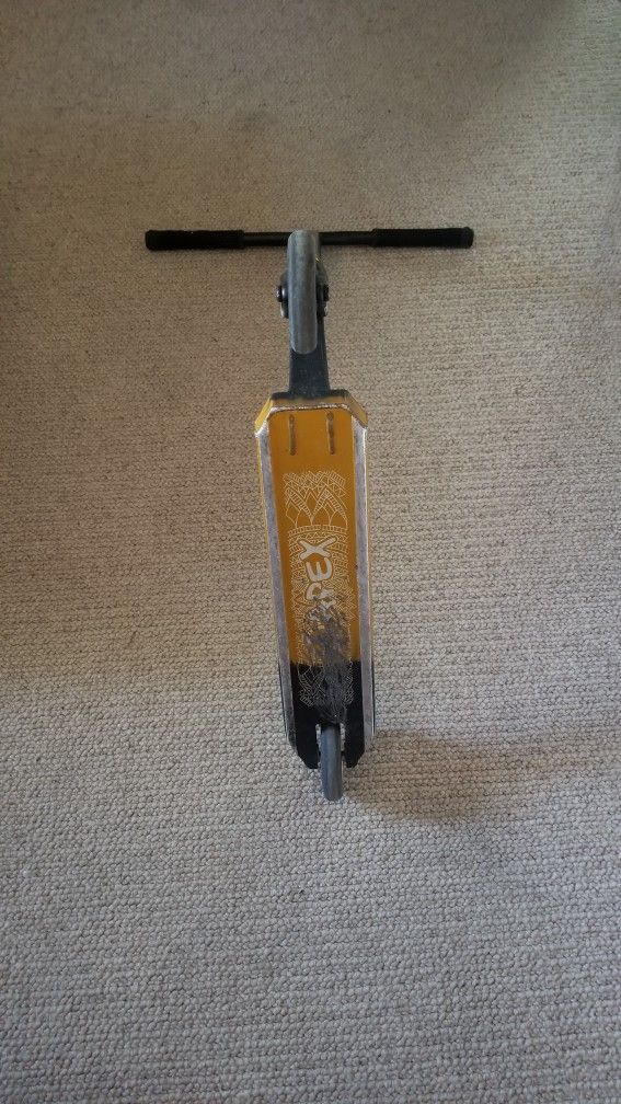Custom Scooter