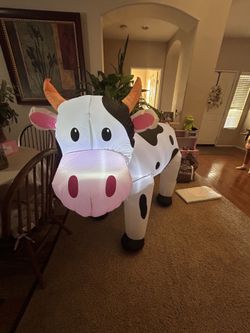 Cow Blow Up 