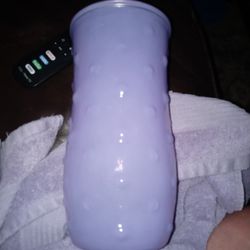 Vintage Hoosiers Bubble Vase