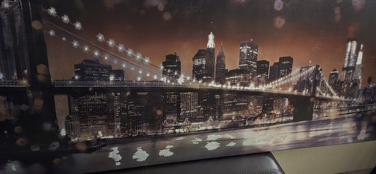 Long Canvas Picture