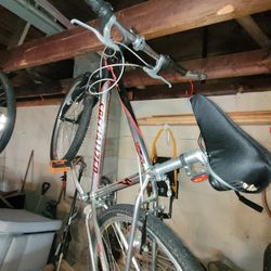 Specialized Moutin Bike