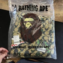 Bape Dinosaur Shorts 