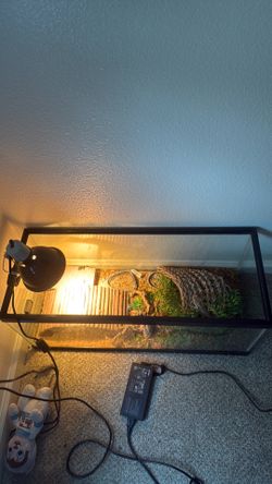 Bearded dragon cage
