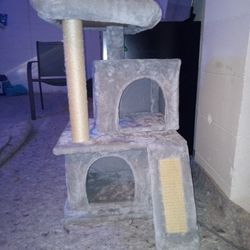 Cat Tree 