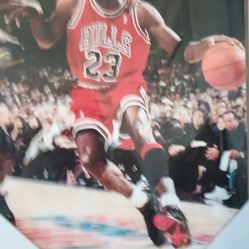   The Goat Michael Jordan Frame 