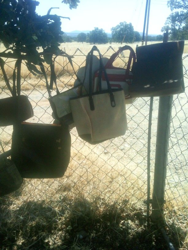 Purse's