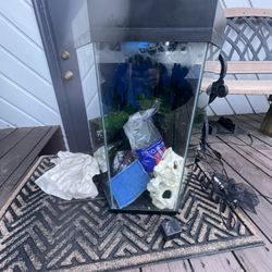 Fish Tank