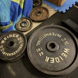 Olympic Weights And Exercise Bike