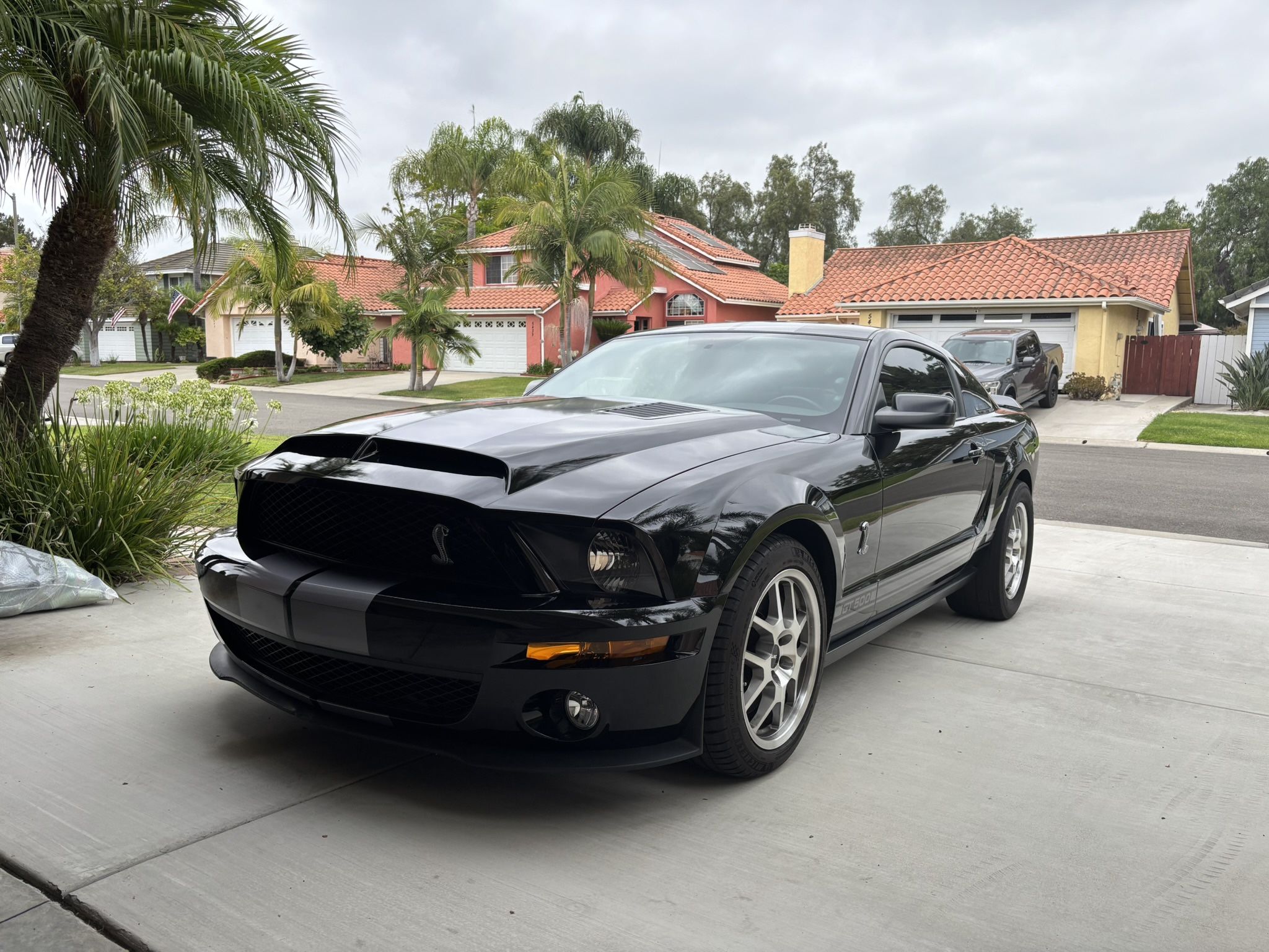 2007 Ford Shelby Gt500