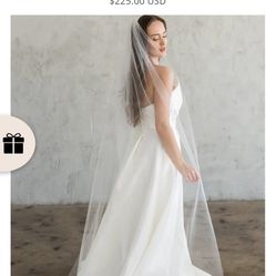  Veil - Cathedral -11 Feet - $100