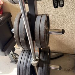 Weight plates, rack and barbell.