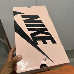 Rare Collector Nike Pro SB Pink Box Era Size 10.5