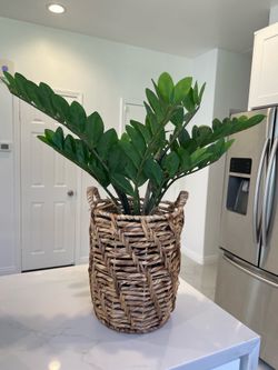 Decor artificial plant 26” tall