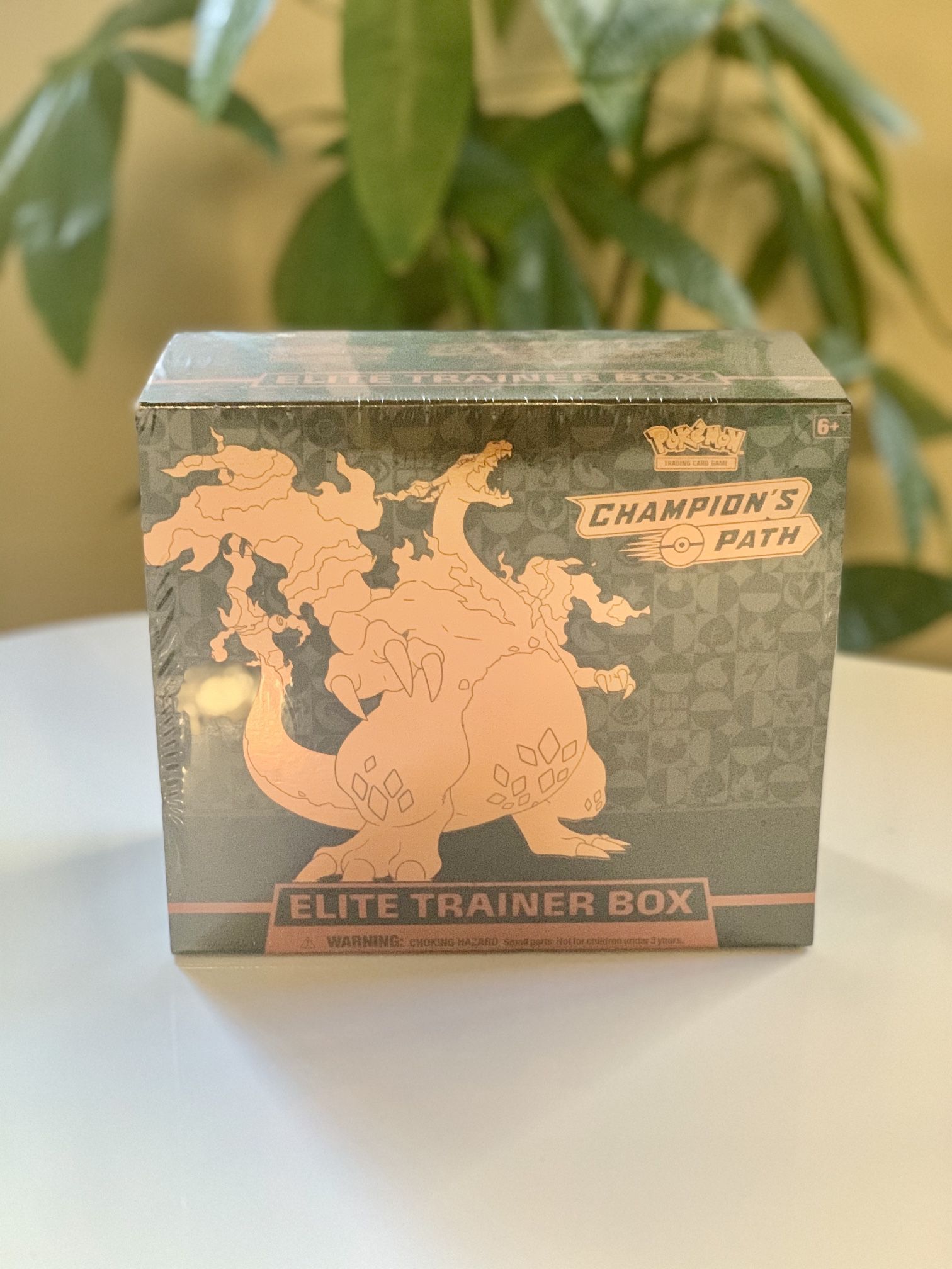 Pokémon Champions Path Elite Trainer Box Case