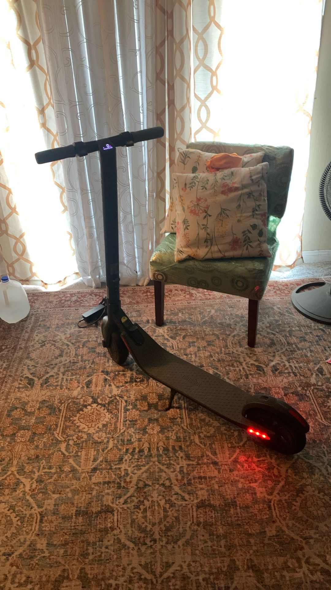 Ninebot Electric Scooter