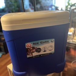 Igloo Cooler Ice Chest