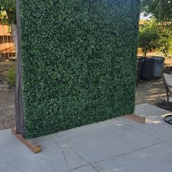Green Backdrop For Photo