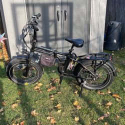Rad Power E-bike