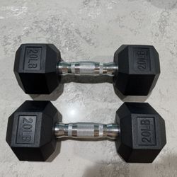 10/20 Lb Dumbbell Set