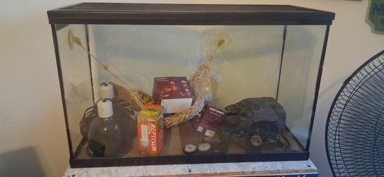 20 gallon tank