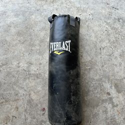 Everlast Punchin Bag
