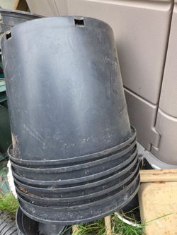 5 gallon nursery plastic pots  $3.00 each