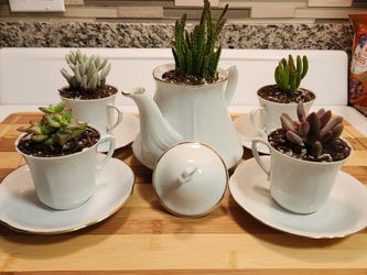 Vintage Teapot & Teacup Succulent Set