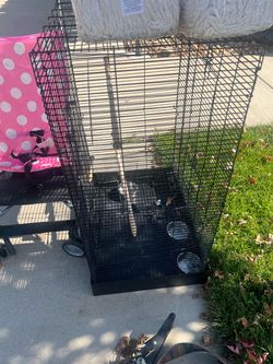 Bird cage