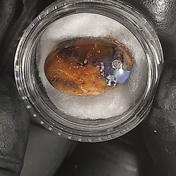 Fire and Ice Natural Mexican Matrix Opal