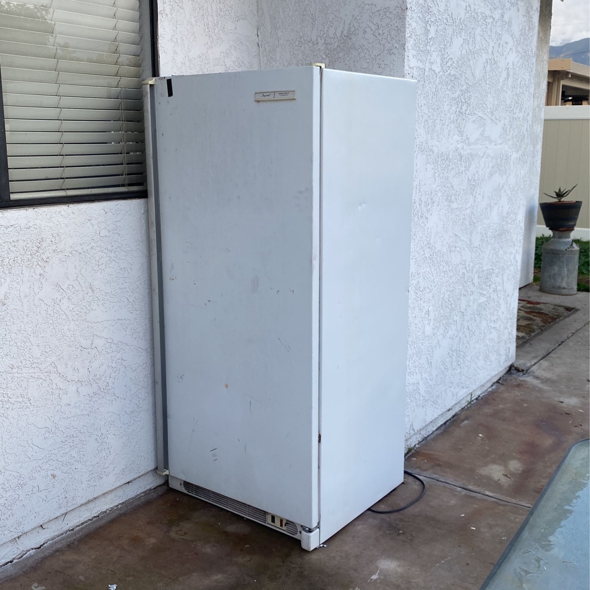 Stand Up Freezer