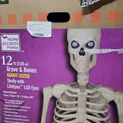 12ft skeleton with LED Eyes