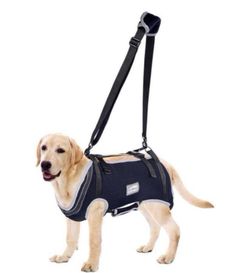 Brand New Male Dog Lift Harness with Handle XXL