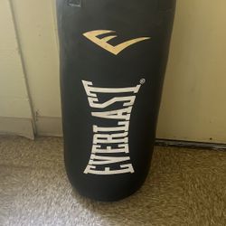 punching Bag