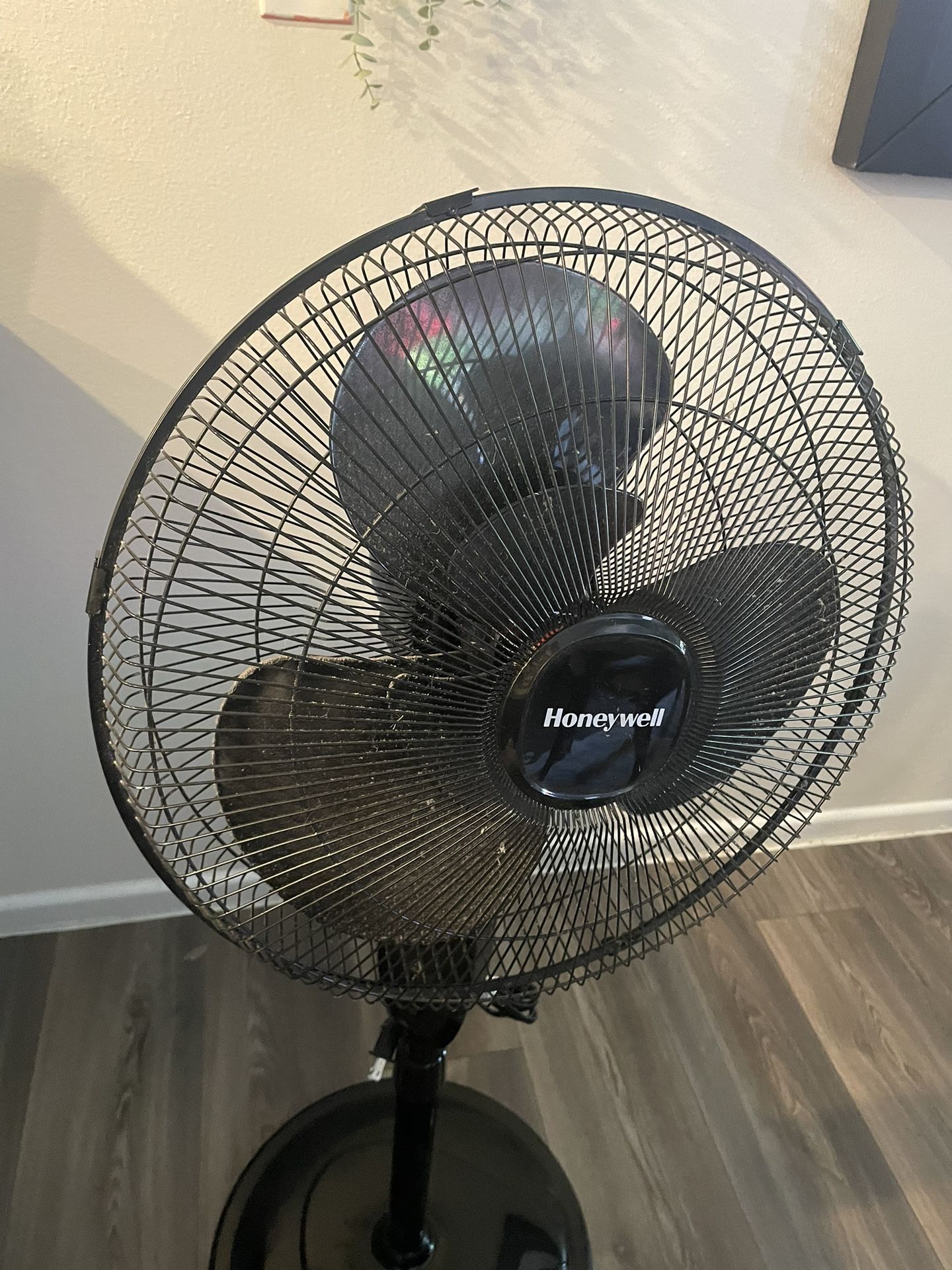 Honeywell oscillating fan