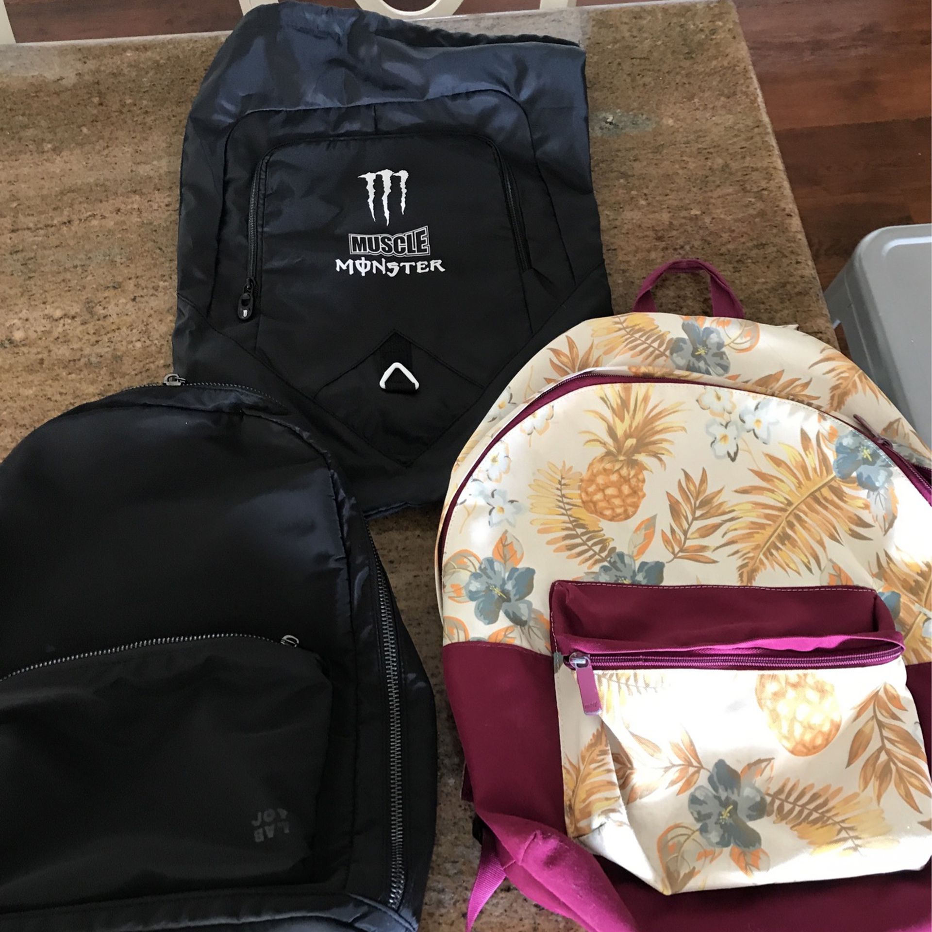 Excellent Backpacks (3) Like New Condition