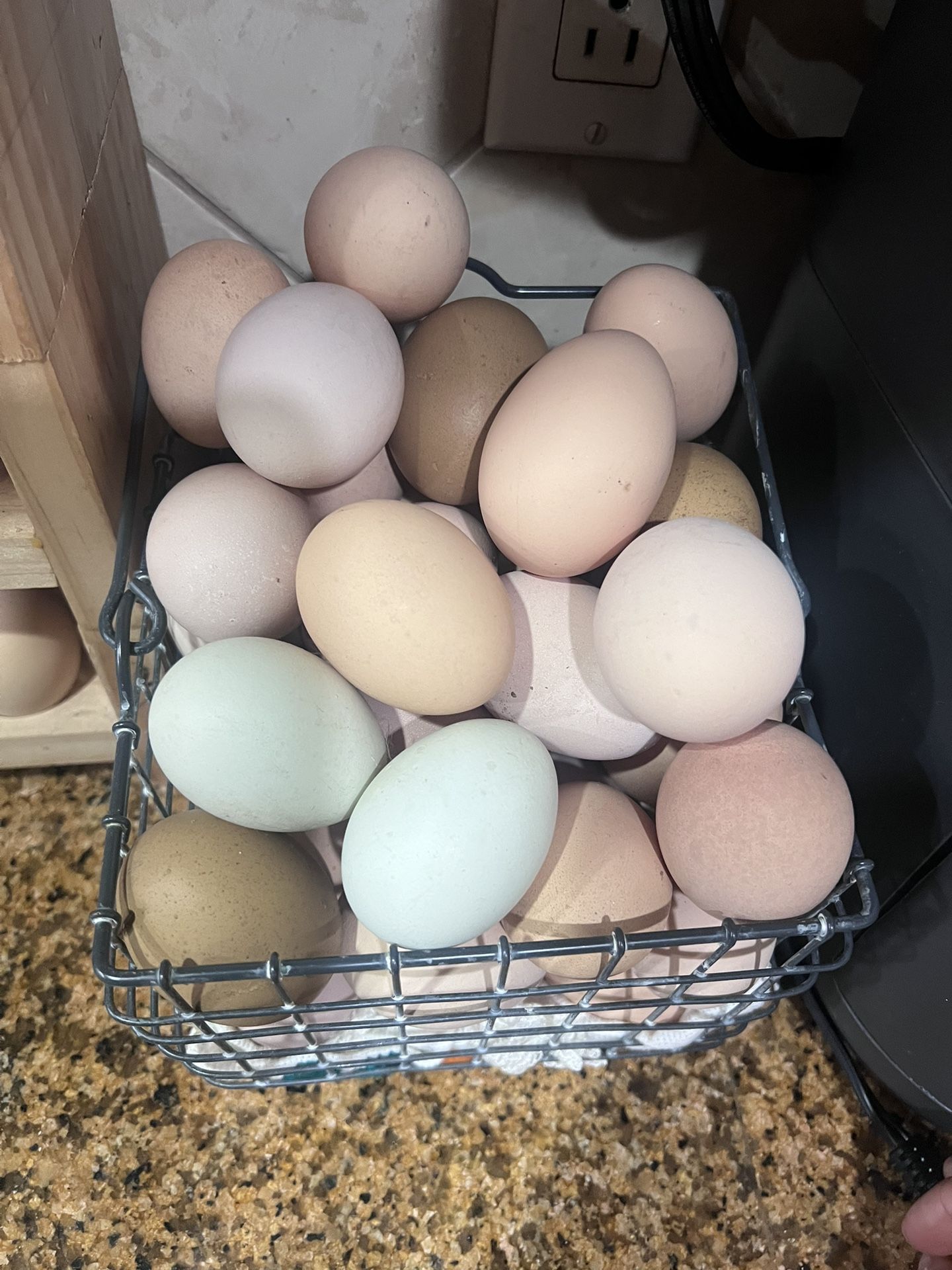 Fresh Eggs