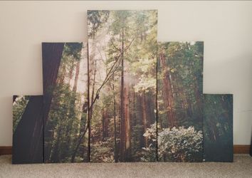 LIKE NEW Home Office Forest Trees Canves Wall Art Poster 5-Piece Box included