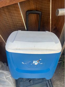 Cooler
