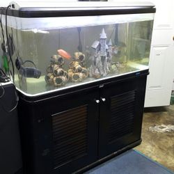 FISH TANK