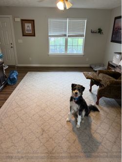 Large Rug
